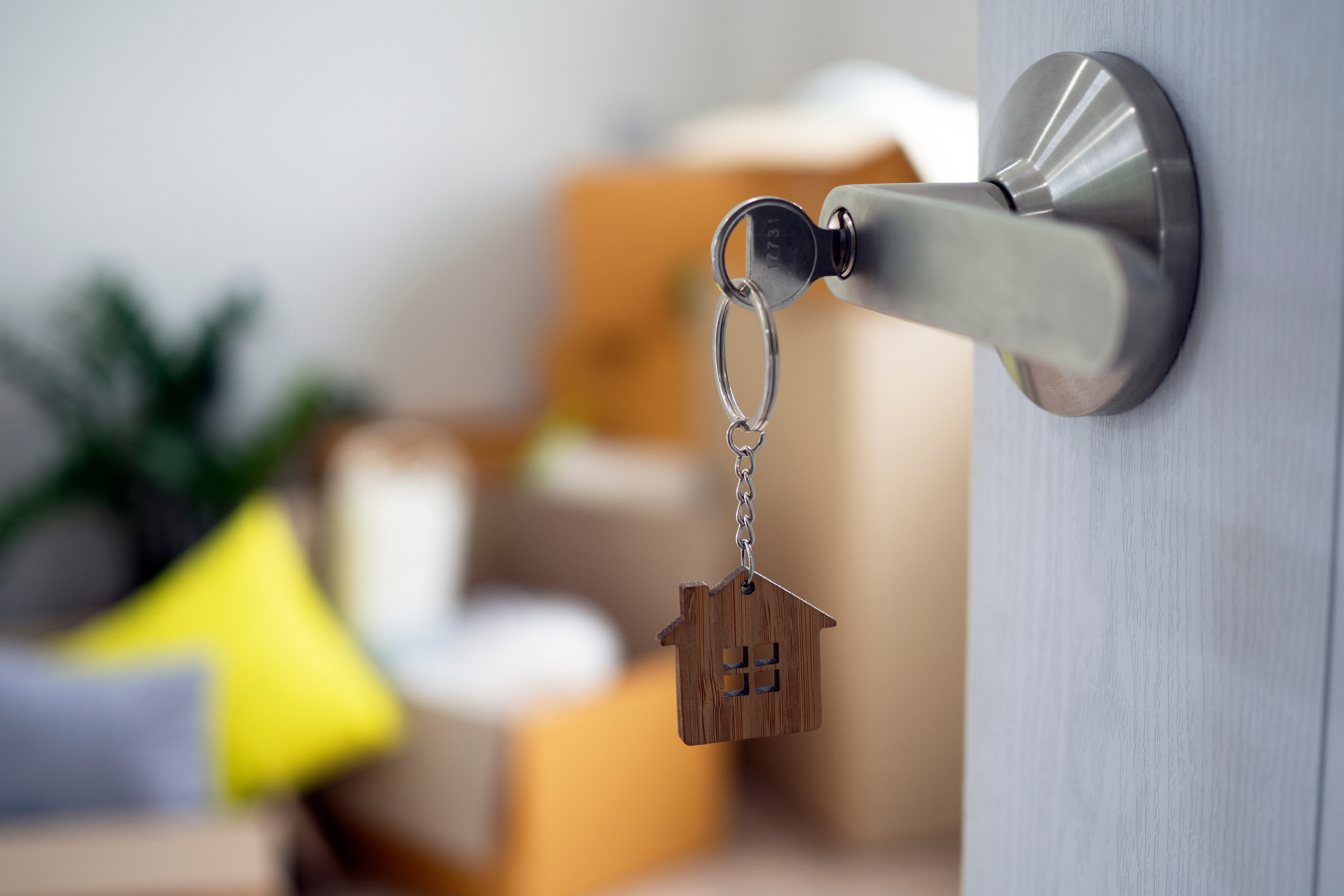 Alles rund um die Wohnungssuche (c) AdobeStock